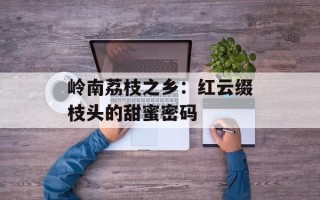 岭南荔枝之乡：红云缀枝头的甜蜜密码