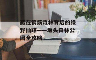 藏在钢筋森林背后的绿野仙踪——坂头森林公园全攻略