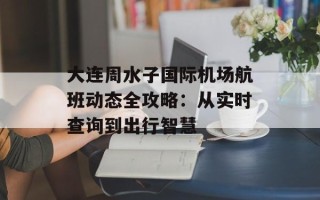 大连周水子国际机场航班动态全攻略：从实时查询到出行智慧