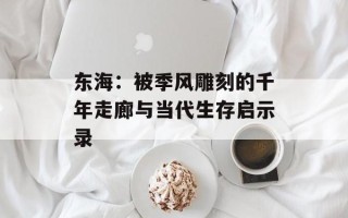 东海：被季风雕刻的千年走廊与当代生存启示录