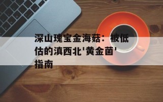 深山瑰宝金海菇：被低估的滇西北'黄金菌'指南