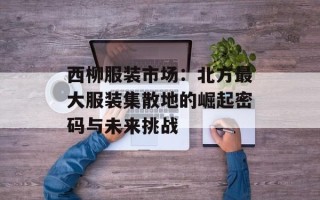 西柳服装市场：北方最大服装集散地的崛起密码与未来挑战
