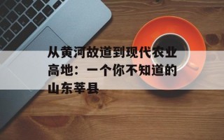从黄河故道到现代农业高地：一个你不知道的山东莘县