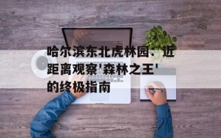 哈尔滨东北虎林园：近距离观察'森林之王'的终极指南