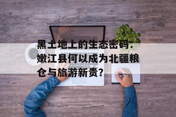 黑土地上的生态密码：嫩江县何以成为北疆粮仓与旅游新贵？-第1张图片-