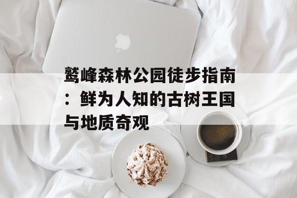 鹫峰森林公园徒步指南：鲜为人知的古树王国与地质奇观-第1张图片-