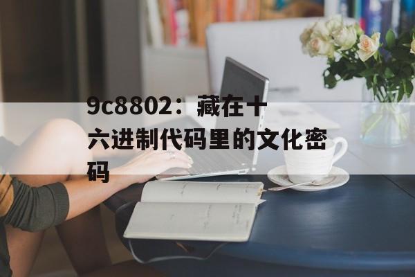9c8802：藏在十六进制代码里的文化密码-第1张图片-