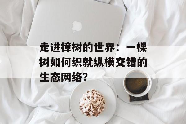 走进樟树的世界：一棵树如何织就纵横交错的生态网络？-第1张图片-