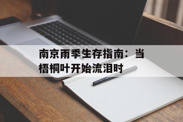 南京雨季生存指南：当梧桐叶开始流泪时-第1张图片-
