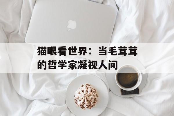 猫眼看世界：当毛茸茸的哲学家凝视人间-第1张图片-