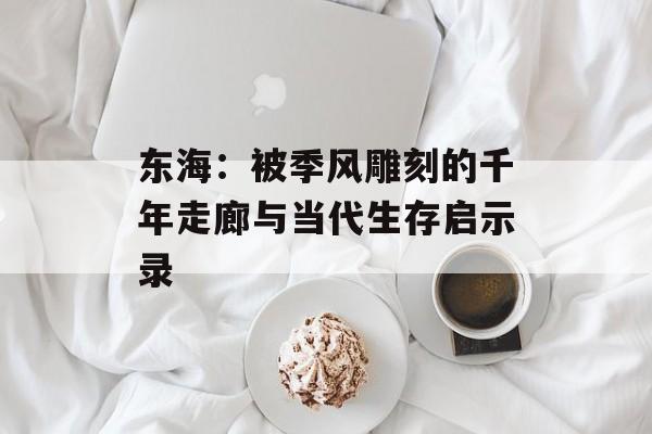 东海：被季风雕刻的千年走廊与当代生存启示录-第1张图片-