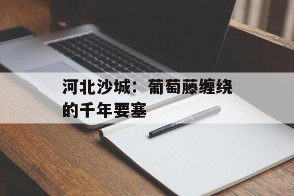 河北沙城：葡萄藤缠绕的千年要塞-第1张图片-