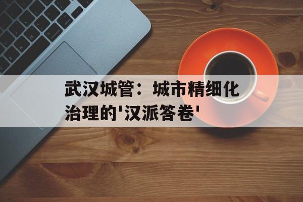 武汉城管：城市精细化治理的'汉派答卷'-第1张图片-