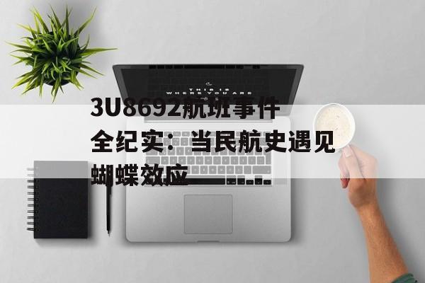 3U8692航班事件全纪实：当民航史遇见蝴蝶效应-第1张图片-