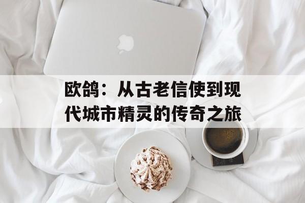 欧鸽：从古老信使到现代城市精灵的传奇之旅-第1张图片-