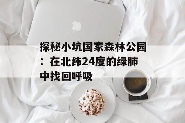 探秘小坑国家森林公园：在北纬24度的绿肺中找回呼吸-第1张图片-