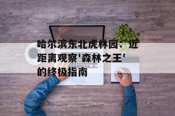 哈尔滨东北虎林园：近距离观察'森林之王'的终极指南-第1张图片-