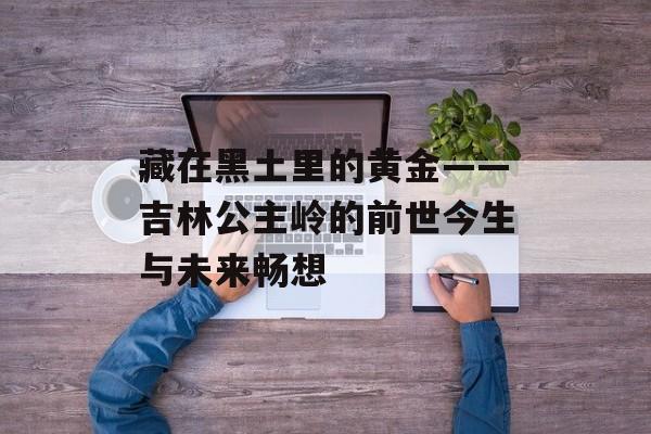 藏在黑土里的黄金——吉林公主岭的前世今生与未来畅想-第1张图片-
