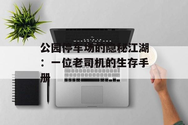 公园停车场的隐秘江湖：一位老司机的生存手册-第1张图片-