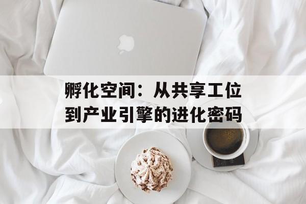 孵化空间：从共享工位到产业引擎的进化密码-第1张图片-