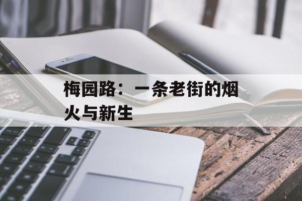 梅园路：一条老街的烟火与新生-第1张图片-
