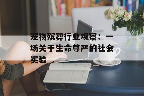 宠物殡葬行业观察：一场关于生命尊严的社会实验-第1张图片-