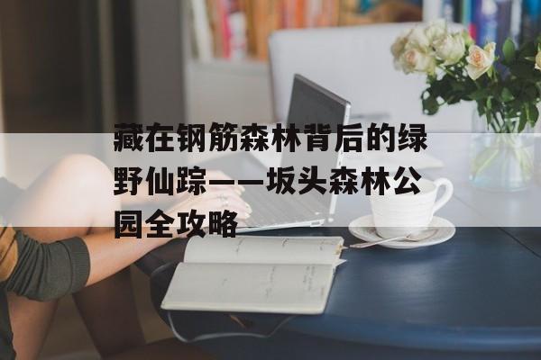 藏在钢筋森林背后的绿野仙踪——坂头森林公园全攻略-第1张图片-