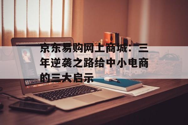 京东易购网上商城：三年逆袭之路给中小电商的三大启示-第1张图片-