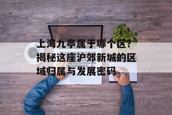 上海九亭属于哪个区？揭秘这座沪郊新城的区域归属与发展密码-第1张图片-