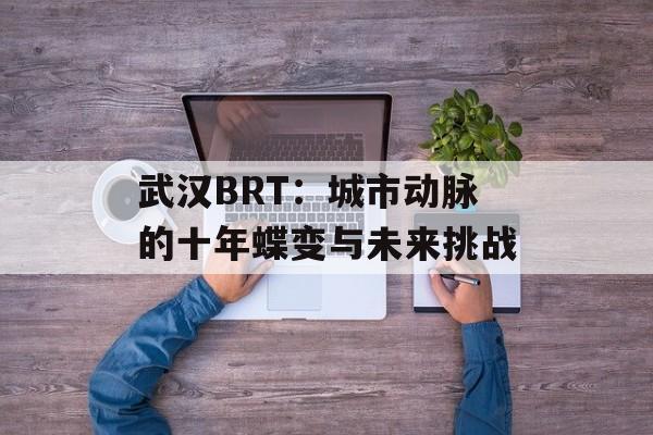 武汉BRT：城市动脉的十年蝶变与未来挑战-第1张图片-