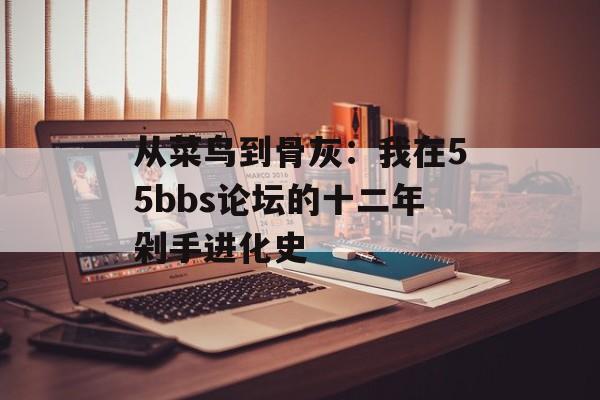 从菜鸟到骨灰：我在55bbs论坛的十二年剁手进化史-第1张图片-